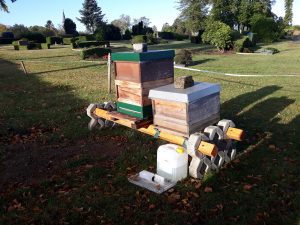 Bienenstöcke auf Ketzberger Friedhof